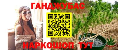 хмурый Абакан