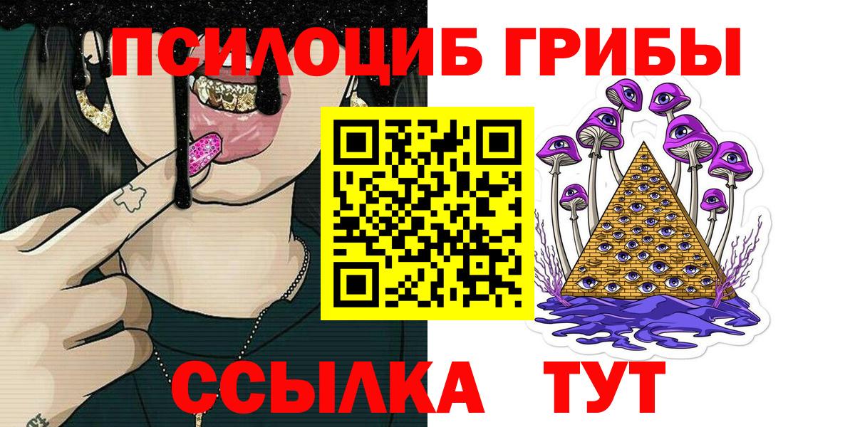 Александров  Галлюциногенные грибы MAGIC MUSHROOMS  Псилоцибиновые грибы прущие грибы  Вход с VPN 