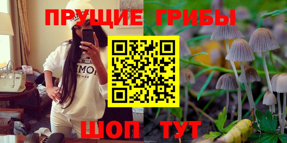 Галлюциногенные грибы мухоморы  магазин    Псилоцибиновые грибы Psilocybine cubensis  Александров 