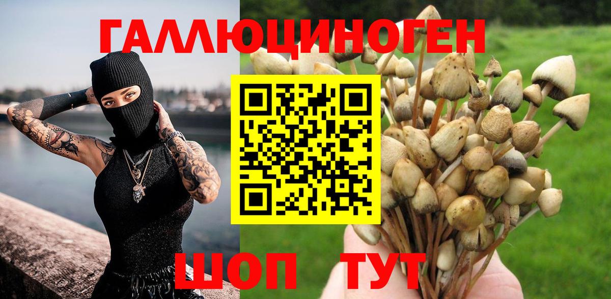 Галлюциногенные грибы Cubensis Александров